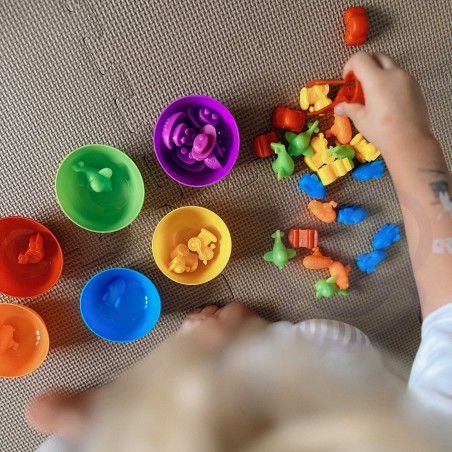 Montessori õppemäng Värvisorteerija dinosaurused 56 tk.