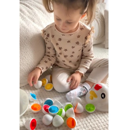 Montessori hariv kujusorteerija
