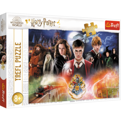 Harry Potteri pusle 300 tk. Salapärane Harry...