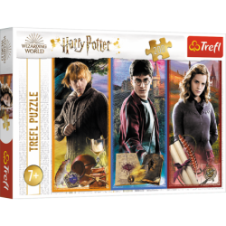 Harry Potteri pusle 200 tk. Maagia ja nõiduse...