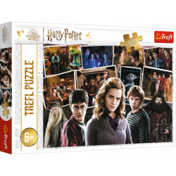 Harry Potteri pusle 160 tk. Harry Potter ja...