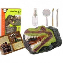 Dinosauruste türannosauruste väljakaevamiste...