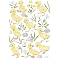 Seinakleebised LUCKY DUCKY pardid
