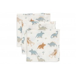 Musliin lapid 3 tk, 31x31 cm, Roarsome