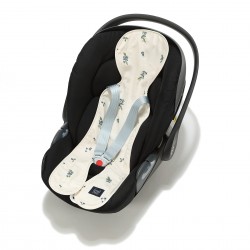 Autoistme padi COUNTRY BERRY