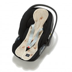 Autoistme padi BABY BEAR