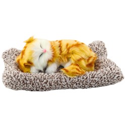 Magav ingverkass padjakujukesel pesal