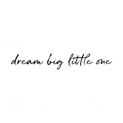 Seinakleebis Dream big little one, must
