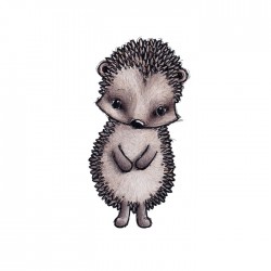 Seinakleebis Iggy the Hedgehog