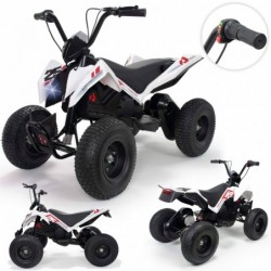 X-Treme Dirt elektriline ATV 24V Injusa