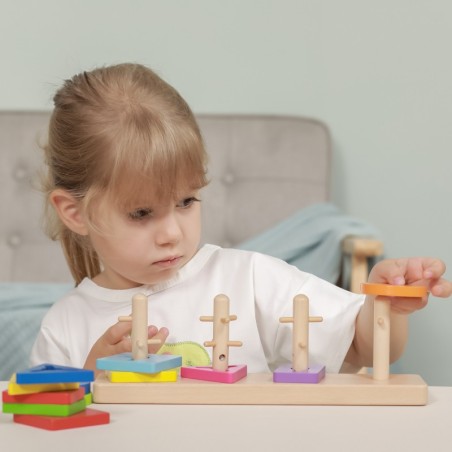 Viga Woden Montessori kujusorteerimisplokid