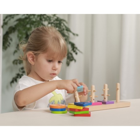 Viga Woden Montessori kujusorteerimisplokid