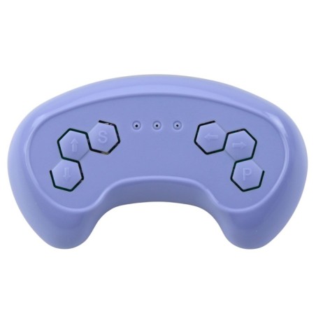 2,4G kaugjuhtimispult WMT-666 jaoks