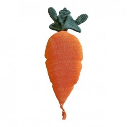 Padi Cathy the Carrot