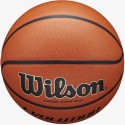 WILSON EVOLUTION WTB0586XBEMEA R.6 KORVPALL