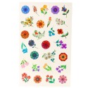 60 lilletätoveeringu komplekt lastele