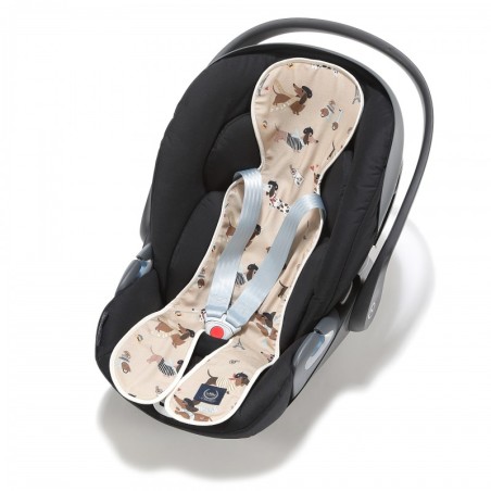 Autoistme padi PIERRE THE DOG