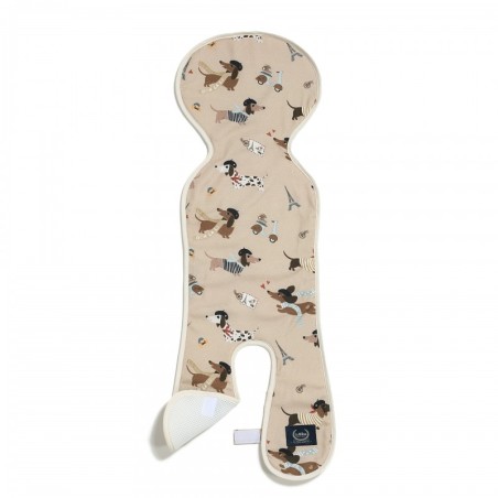 Autoistme padi PIERRE THE DOG