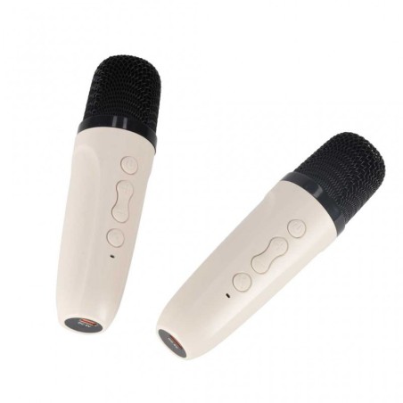 Bluetooth kõlar RGB karaoke komplekt 2 USB mikrofoniga