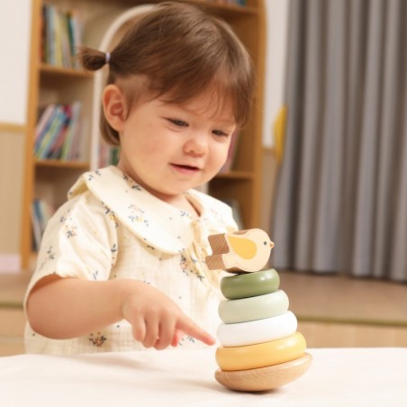 PolarB puidust õppepüramiid – lind