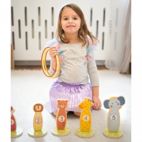 Puidust oskusmäng rõngad 15 osa