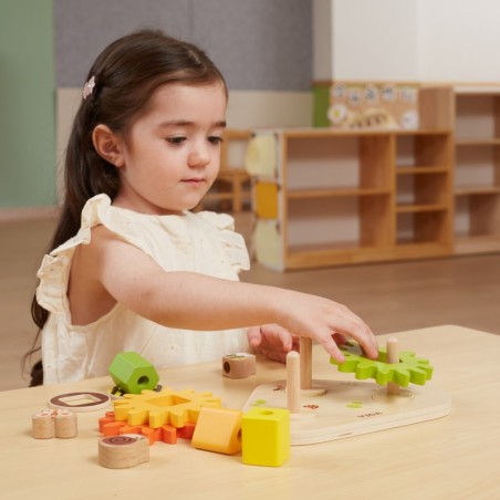 Puidust hammasrataste sorteerija "Kujundid ja mehhanismid"