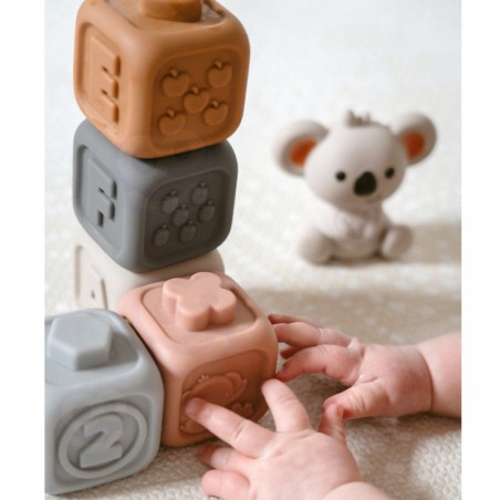 Hariv beebimänguasi püramiidi komplekt, sensoorsed plokid 2in1