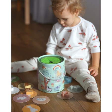 Sobitamise mäng FSC