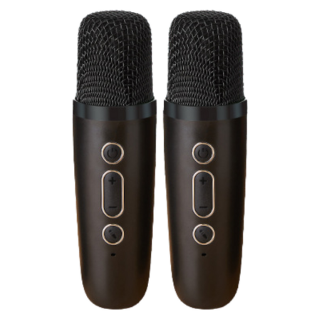 Karaoke komplekt - 2 mikrofoni ja kaasaskantav kõlar, must