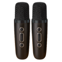 Karaoke komplekt - 2 mikrofoni ja kaasaskantav kõlar, must