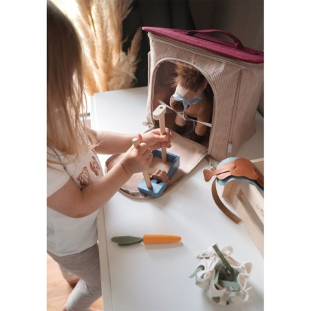 Hobune koos talli ja tarvikutega kotis