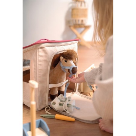 Hobune koos talli ja tarvikutega kotis