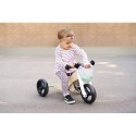 Treeningjalgratas ja Trike Sage Green