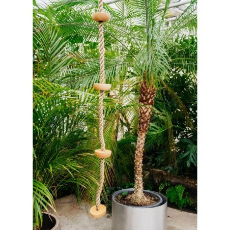 Puidust astmetega ronimisköis