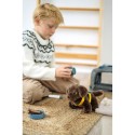 Koer kandekoti ja hoolduskomplektiga