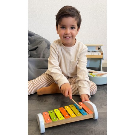 Ksülofon "Groovy Beats"