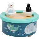 Arctic Music Box