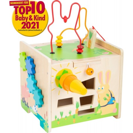 Motoorse aktiivsuse kuubik jänes