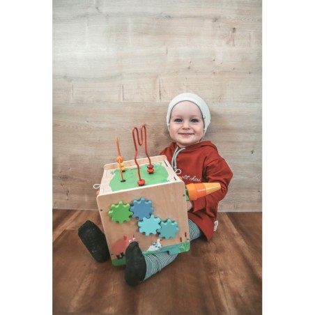 Motoorse aktiivsuse kuubik jänes