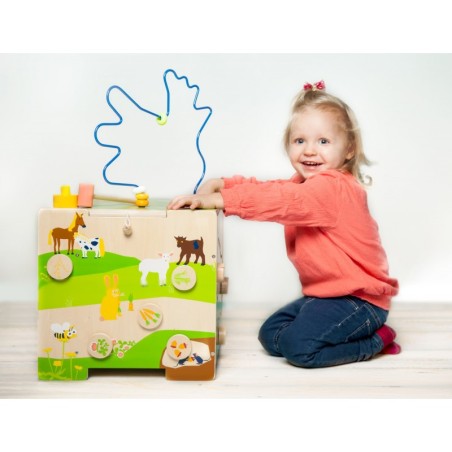 Motoorse tegevuse kuubik Maaelu