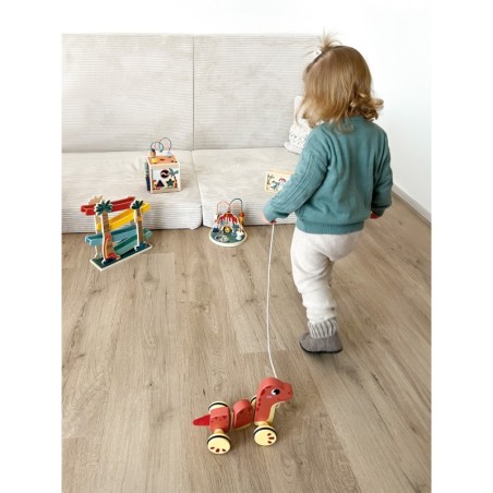 Helmeste labürint "Dino"