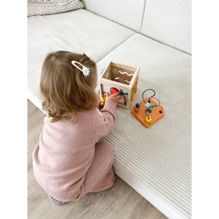 Motoorse aktiivsuse kuubik "Dino"