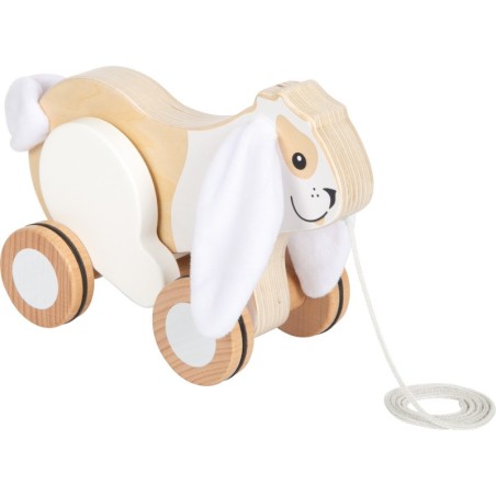 Kortsuvate kõrvadega jänes