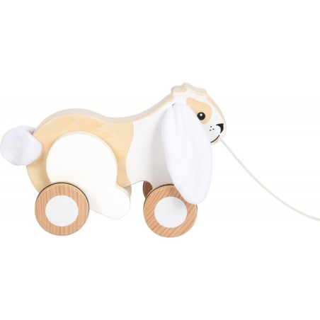 Kortsuvate kõrvadega jänes