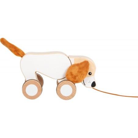 Kõrvadega järelveetav koer