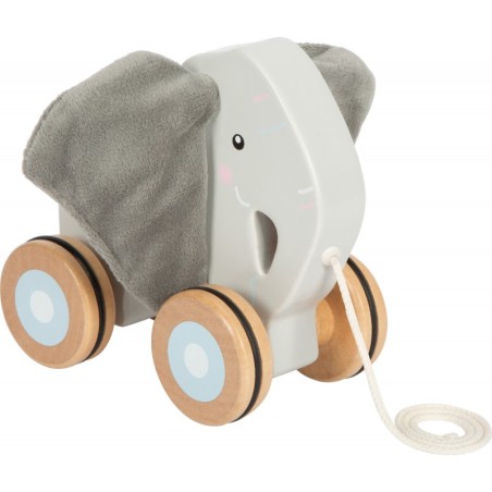 Kortsude kõrvadega elevant