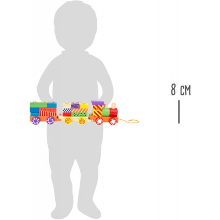 Puidust rongi kujud ja värvid