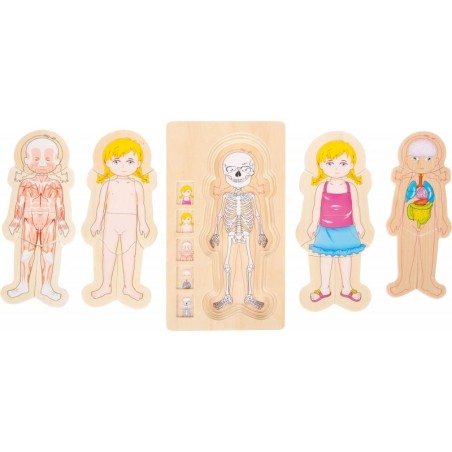 Kihimõistatuse anatoomia tüdruk