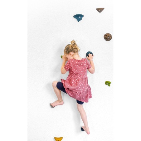 Kivide ronimine "Seiklus"