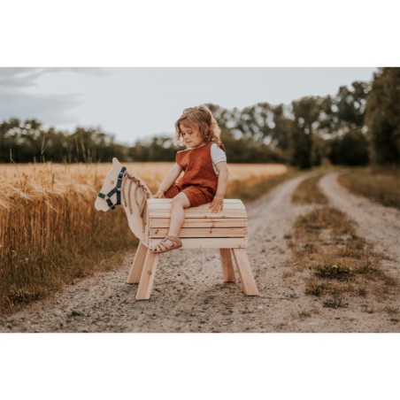 Kompaktne puidust hobune